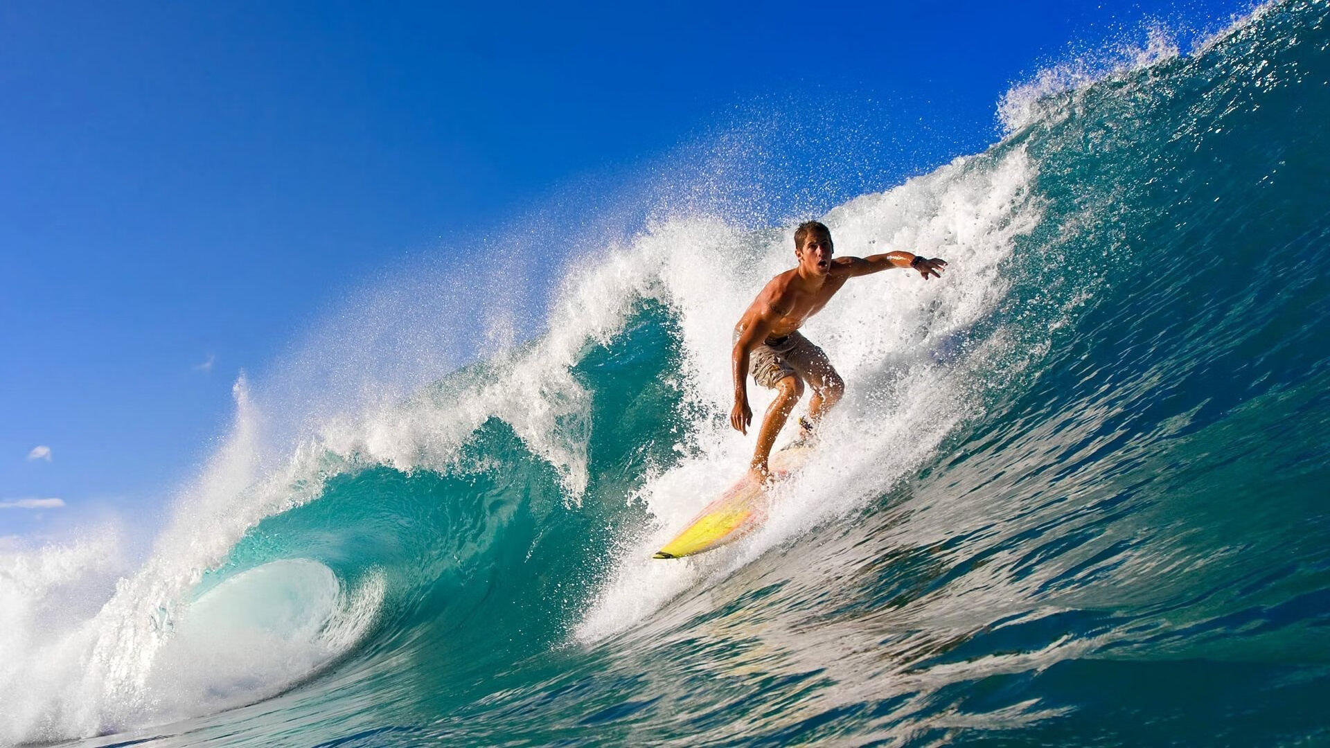 德约科维奇迎来二十赛季高光表现，快船球迷沸腾！